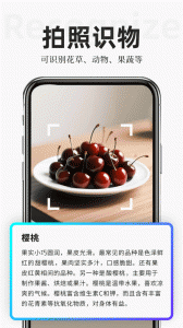 扫描专家