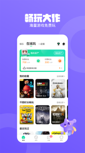 皮队友vip版