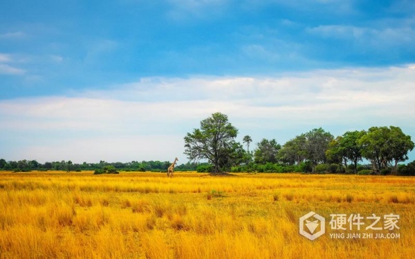 如何解决u盘里面的照片损坏了的问题