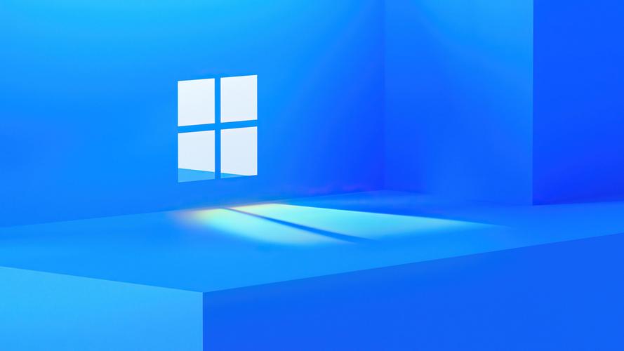 Win11连不上网解决方法