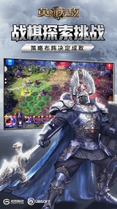 魔法门之英雄无敌王朝混服