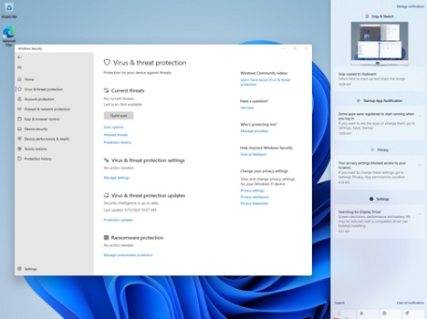 Windows 11获得管理员权限的方法介绍