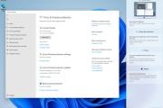 Windows 11获得管理员权限的方法介绍
