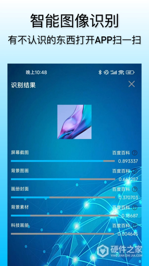 小鲸鱼