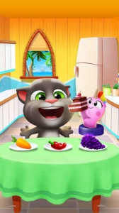 我的汤姆猫2体验服