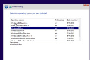 Windows 11无法安装中文包语言包的解决方法