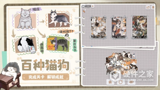 挤在一起的猫猫