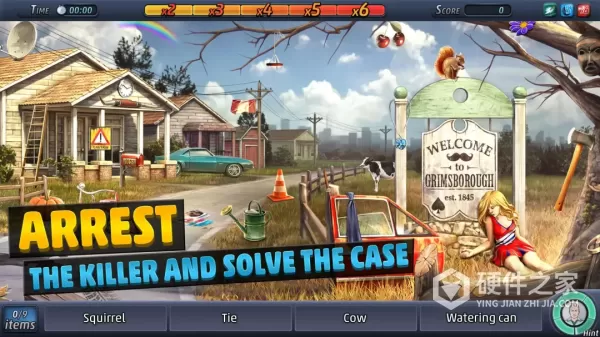 Criminal Case