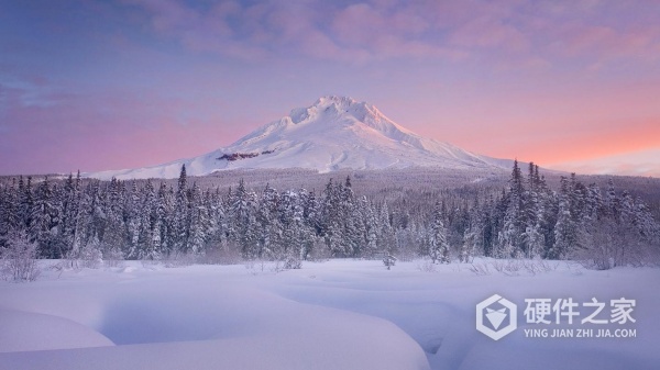 尼康相机sd卡恢复照片教程