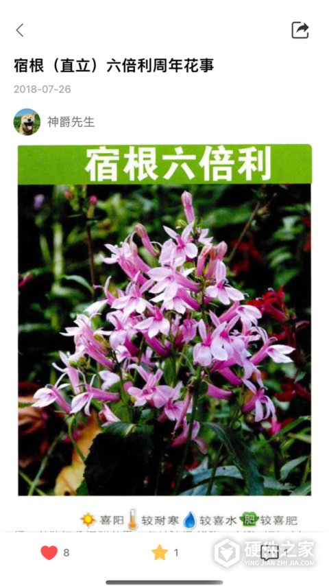 花信app