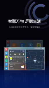 驾驶伴侣