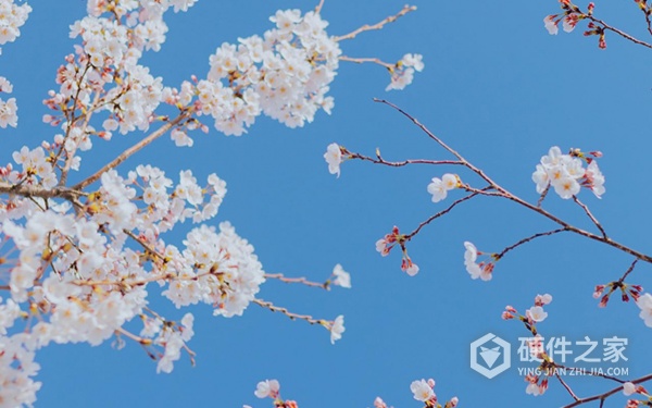 怎样恢复u盘里损坏的文件