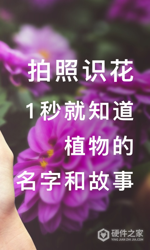 形色植物识别app