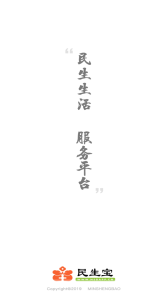 民生宝