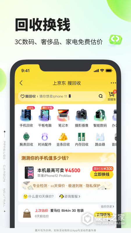 拍拍