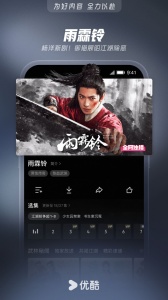 优酷视频大字版