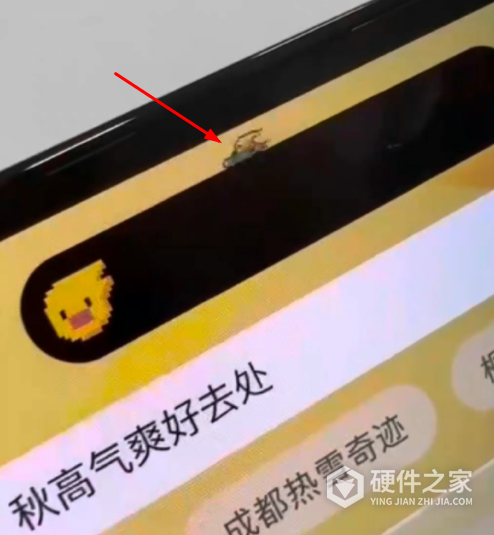 iPhone14灵动岛宠物怎么设置