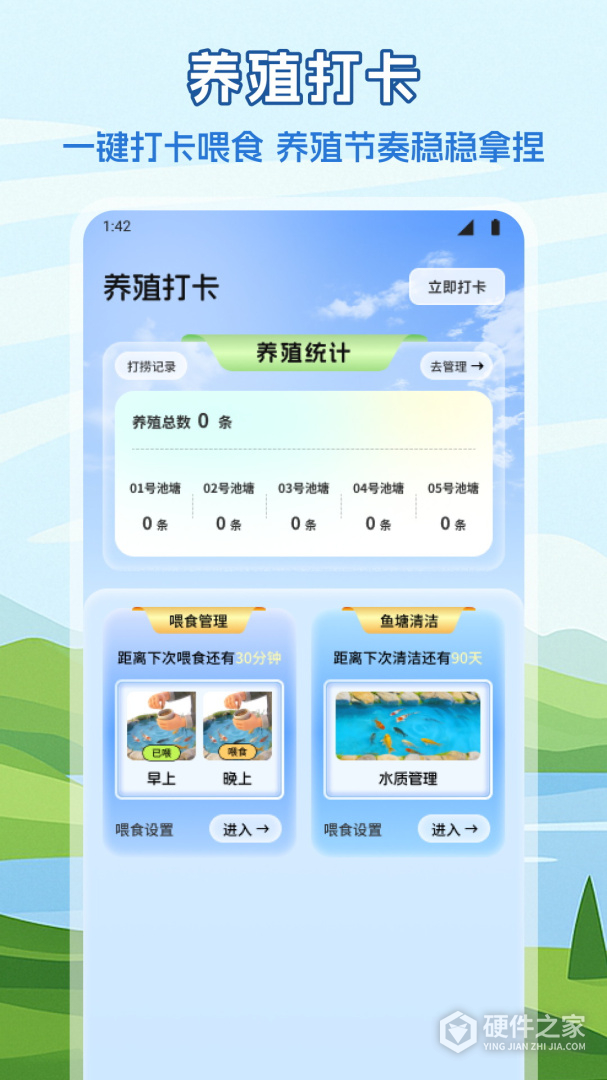锦鲤