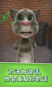 会说话的汤姆猫谷歌版