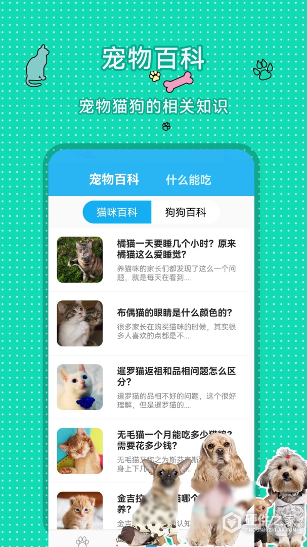 人猫人狗翻译交流器