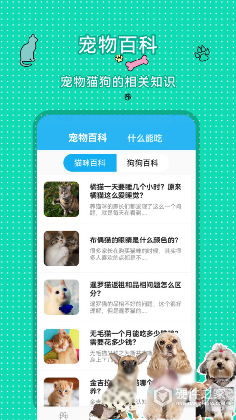 人猫人狗翻译交流器