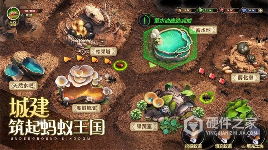 小小蚁国测试版