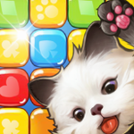 谜题大陆国际版