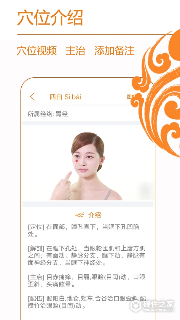 经络养生
