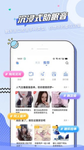 猫耳夜听速配版