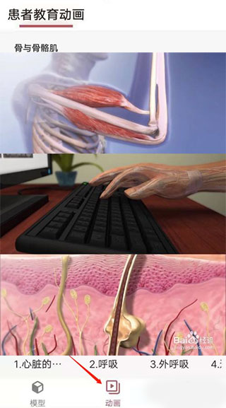 3Dbody解剖app