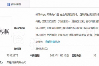 荣耀鸿燕卫星通信是什么意思