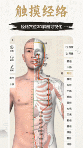 中济经络穴位