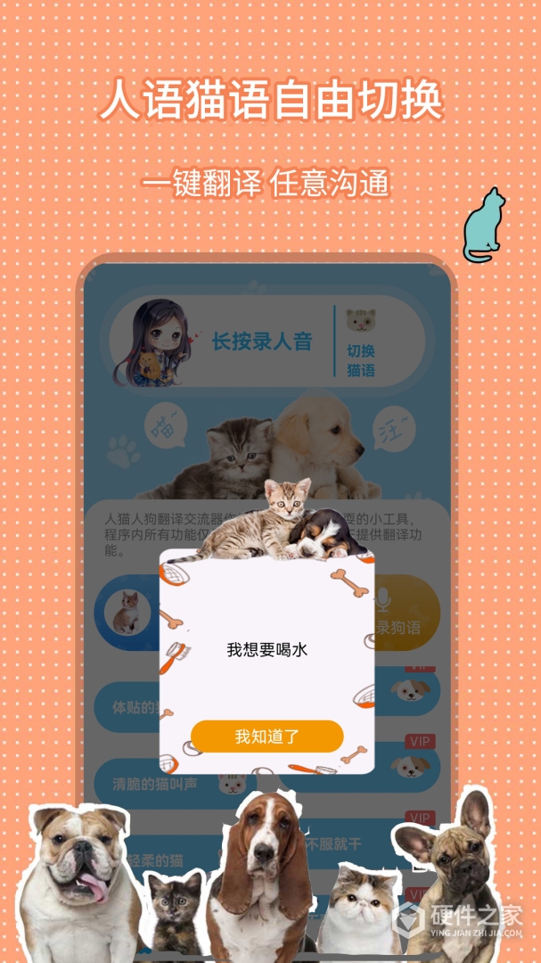 人猫人狗翻译交流器