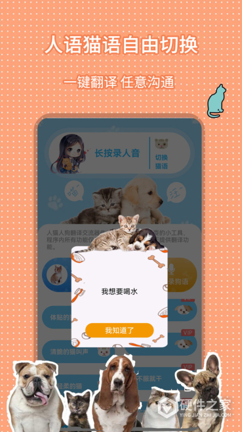 人猫人狗翻译交流器