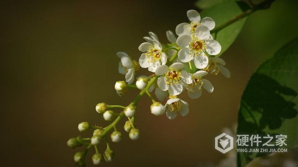 u盘照片恢复后打不开怎么解决