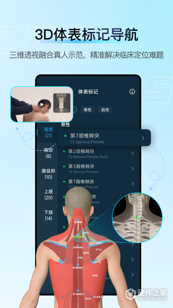解剖大师