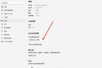 win11软件权限管理设置方法