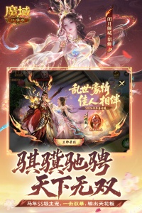 魔域口袋版