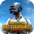 PUBG MOBILE LITE