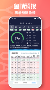鱼喜团