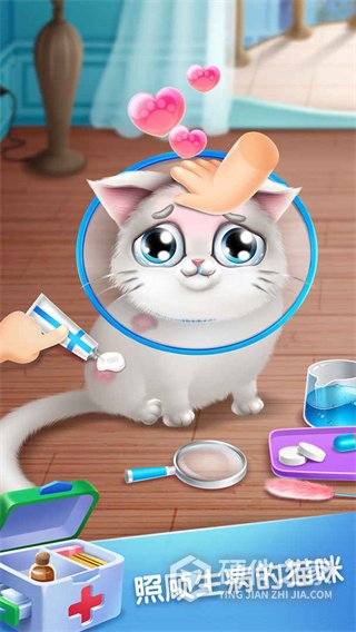 口袋猫咪手游