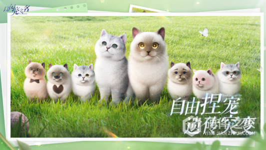 以闪亮之名最新版