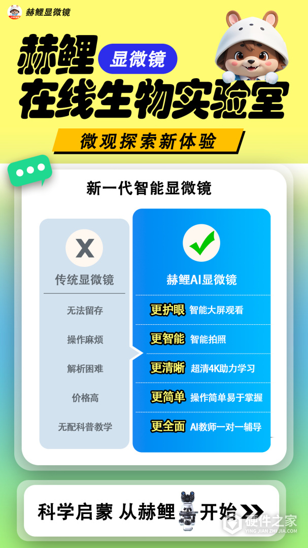 赫鲤