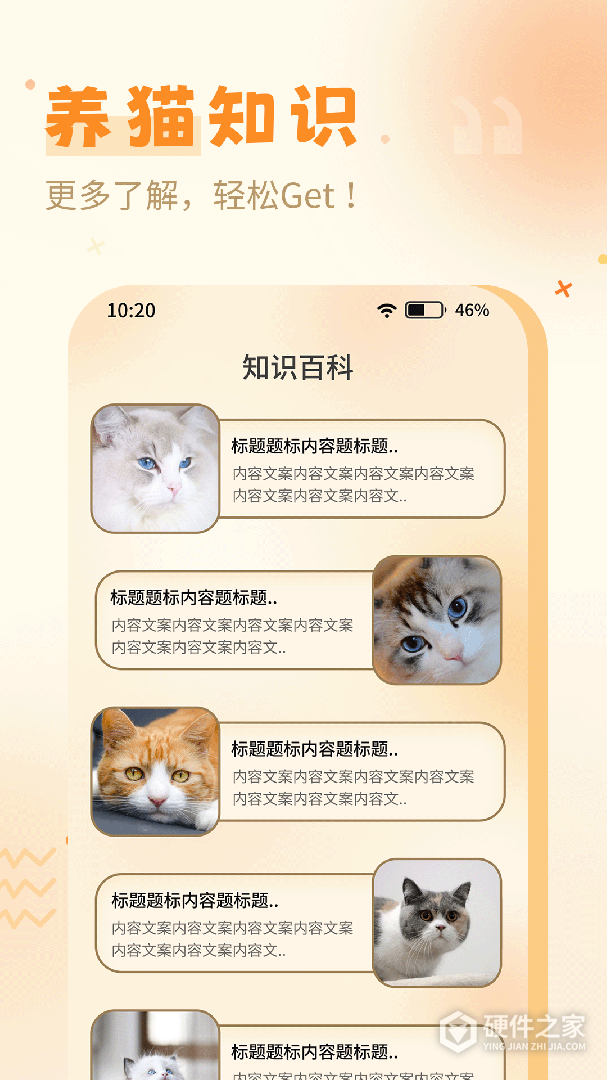 猫语翻译器