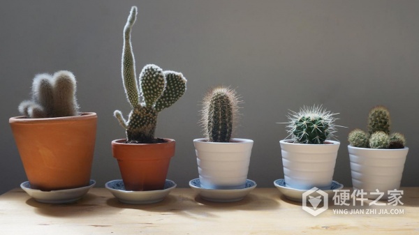 防止win10自动更新win11方式有哪些