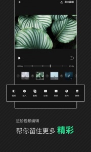 爱奇艺随刻2017版