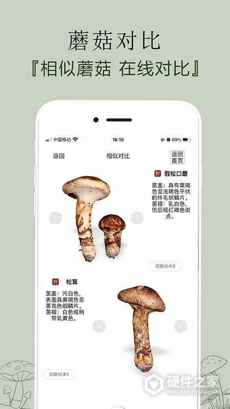 菌窝子app