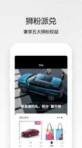 东风标致