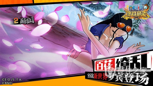 航海王燃烧意志高爆版