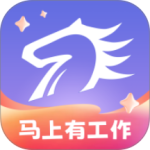 百城招聘